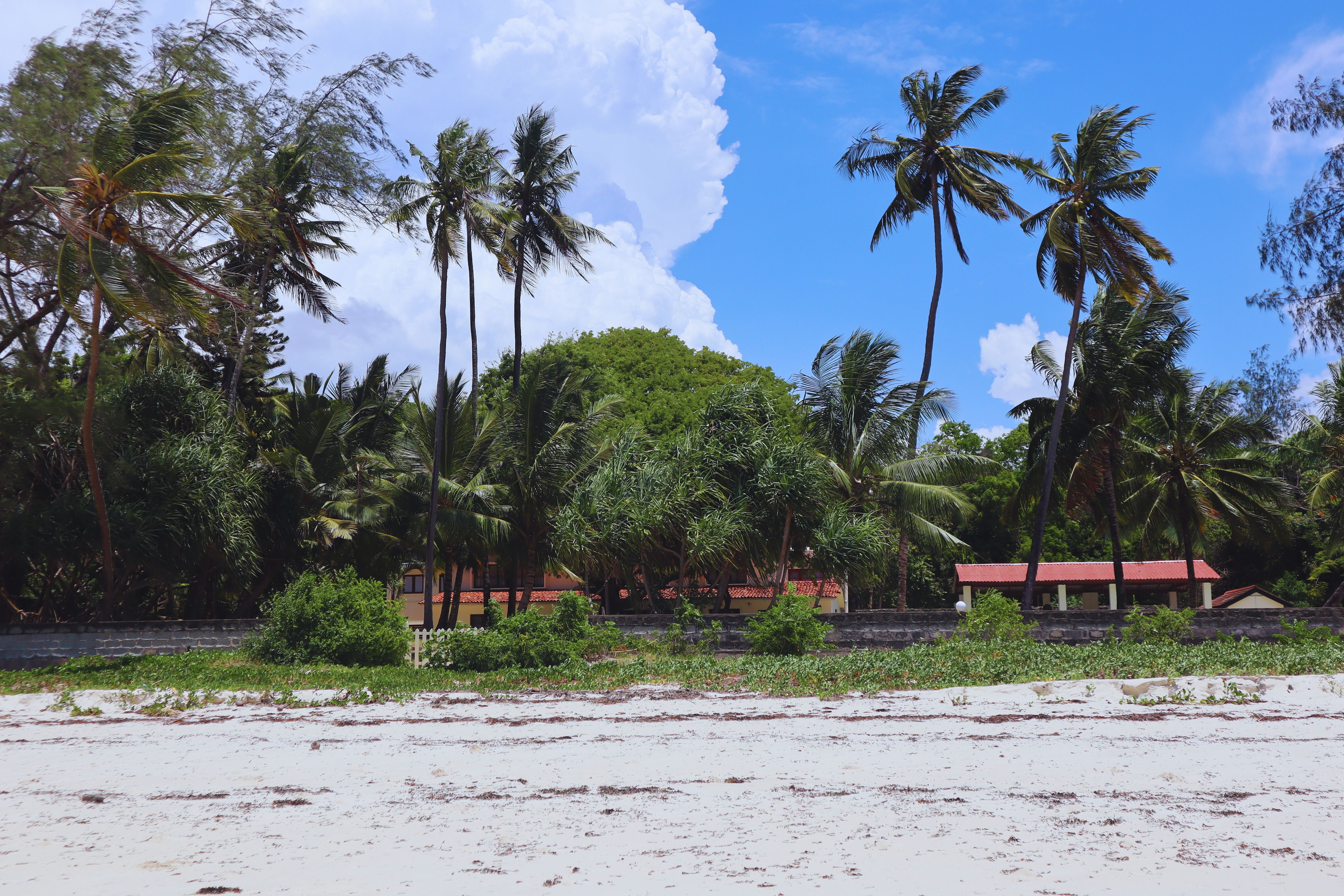 Diani & Watamu - Wildlife up close